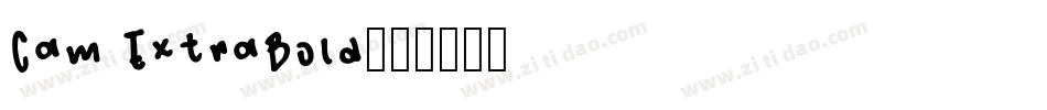 Cam ExtraBold字体转换